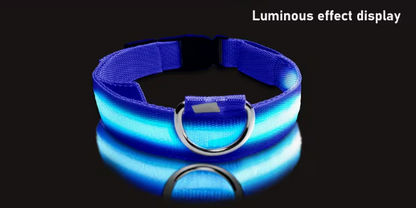 Snout & Scout™ Nocturne Glow Collar (Glow in the Dark Collar)