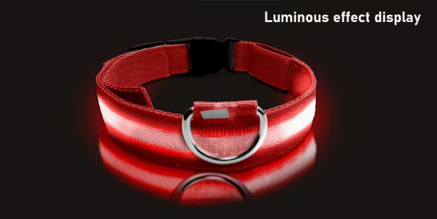 Snout & Scout™ Nocturne Glow Collar (Glow in the Dark Collar)