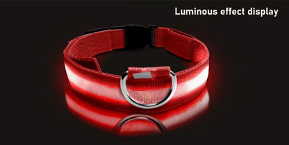 Snout & Scout™ Nocturne Glow Collar (Glow in the Dark Collar)