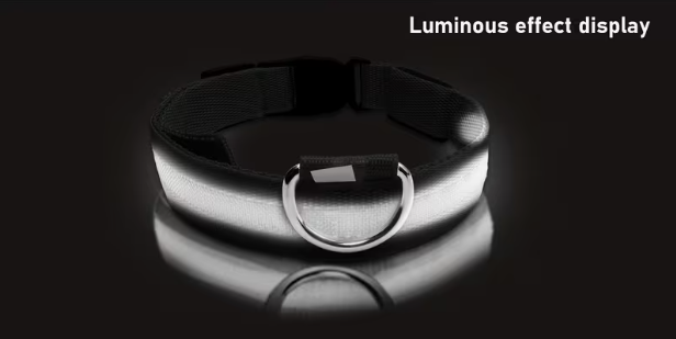 Snout & Scout™ Nocturne Glow Collar (Glow in the Dark Collar)