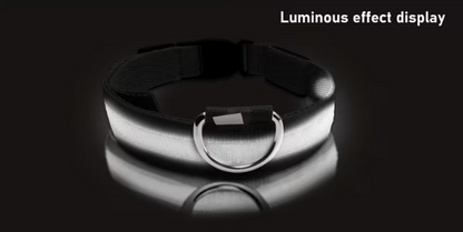 Snout & Scout™ Nocturne Glow Collar (Glow in the Dark Collar)