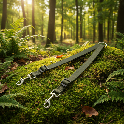 Army Green Forest