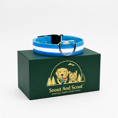 Snout & Scout™ Nocturne Glow Collar (Glow in the Dark Collar)