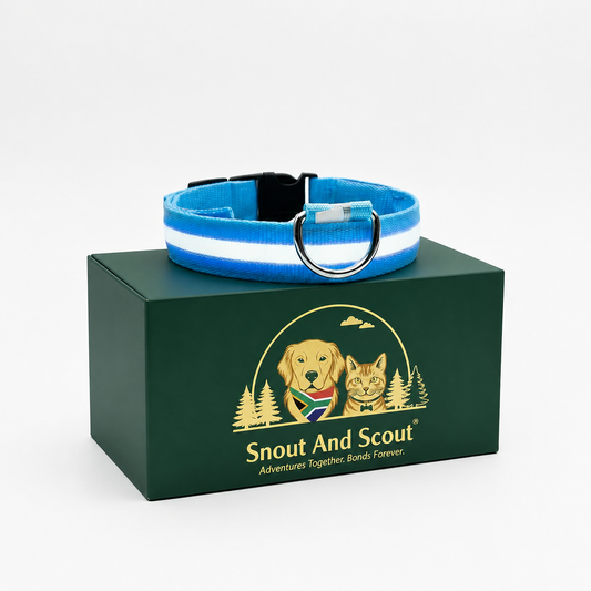 Snout & Scout™ Nocturne Glow Collar (Glow in the Dark Collar)