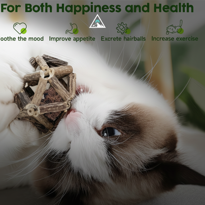 Nature Gnaw Ball - Premium Cat Lifestyle