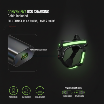 Snout & Scout™ NightGuard Glow Dog Harness